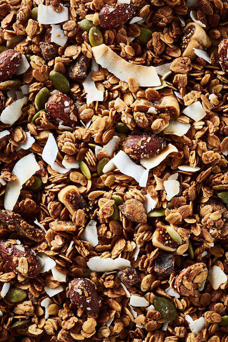 Granola with figs, almonds, coconut chips and pumpkin seeds