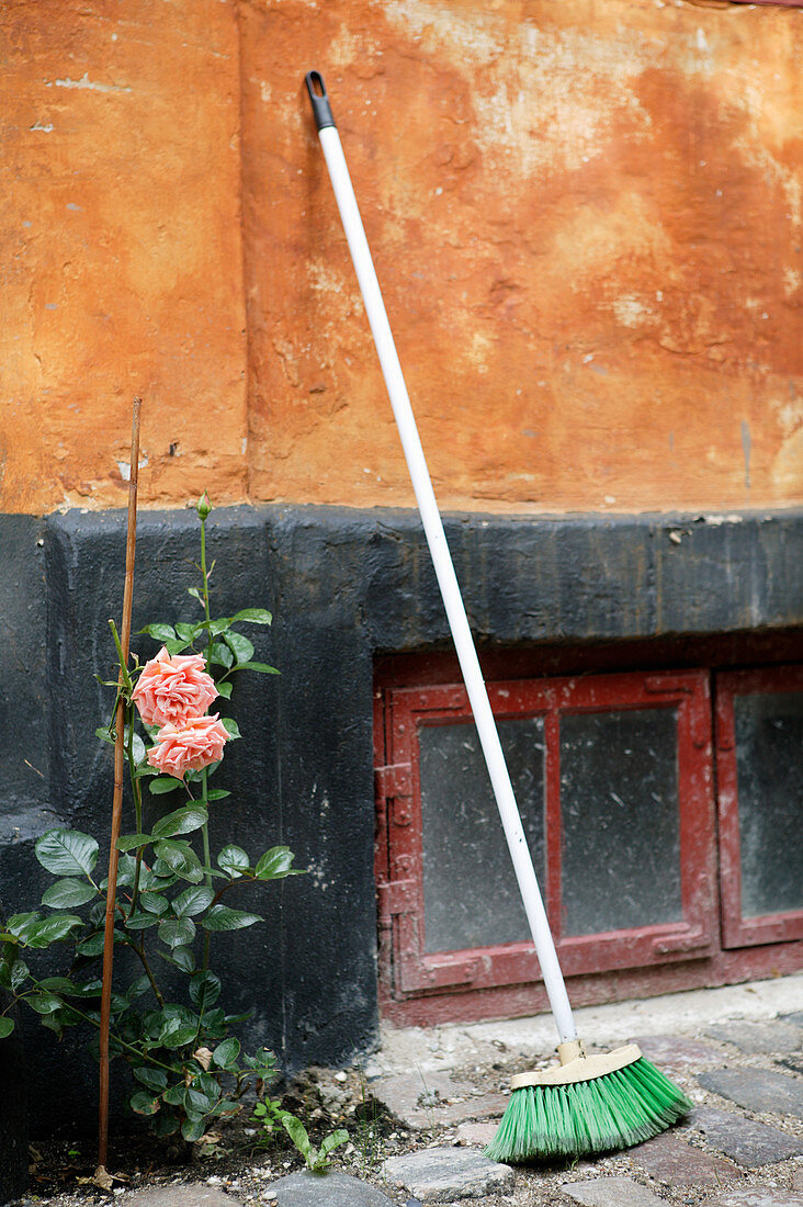 Besen an ockerfarbener Fassade mit schwarzem Sockel und Rose