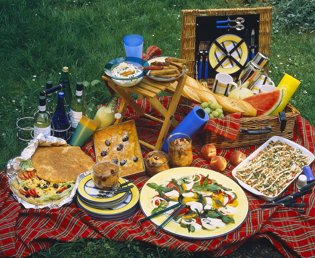 Picknick auf der Wiese mit mehreren verschiedenen Gerichten