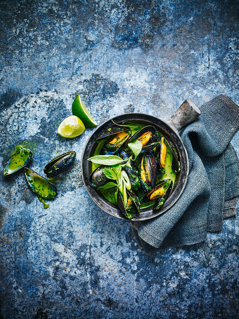 Mussels in a bowl against a blue background