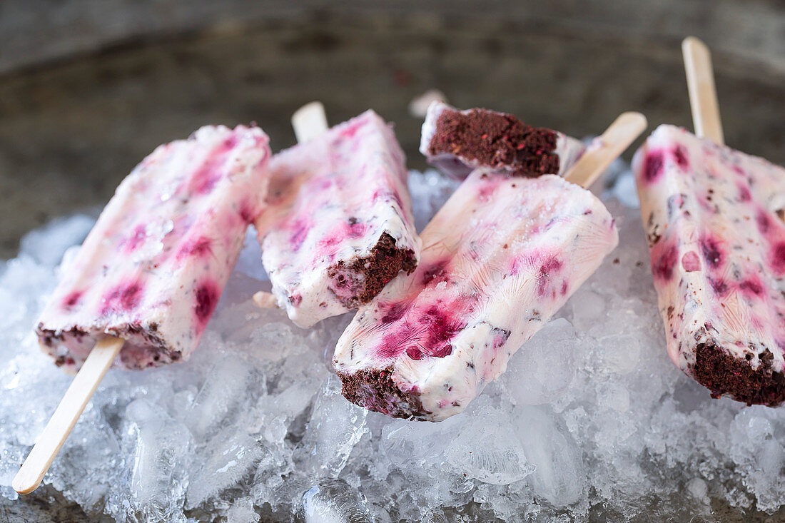Raspberry and Chocolate Yoghurt Ice Blocks