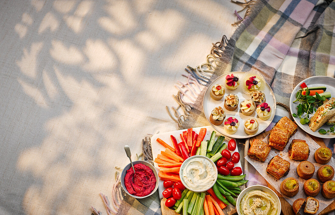 A picnic with crudites, pastries and sandwiches