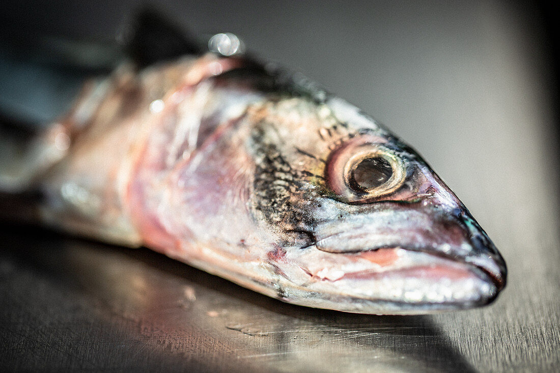 A fish head (close-up)