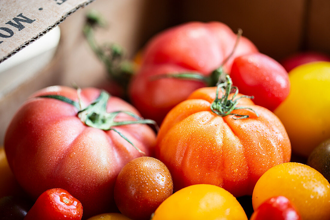 Verschiedene Tomatensorten