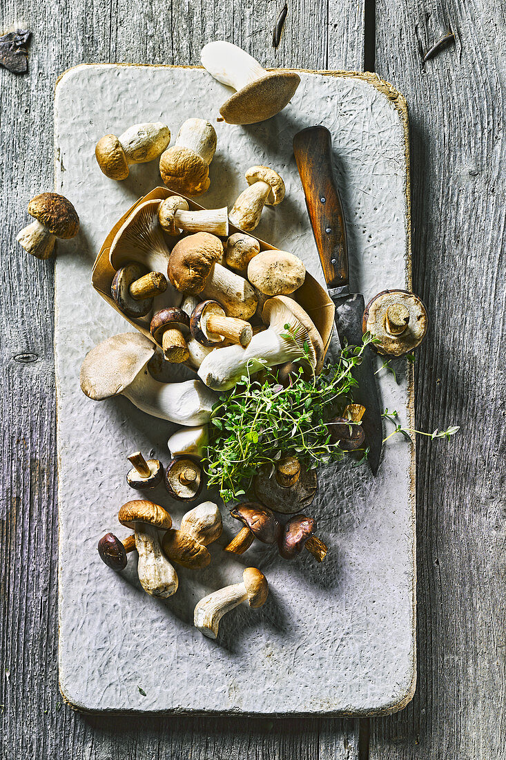 Fresh mushrooms on a board