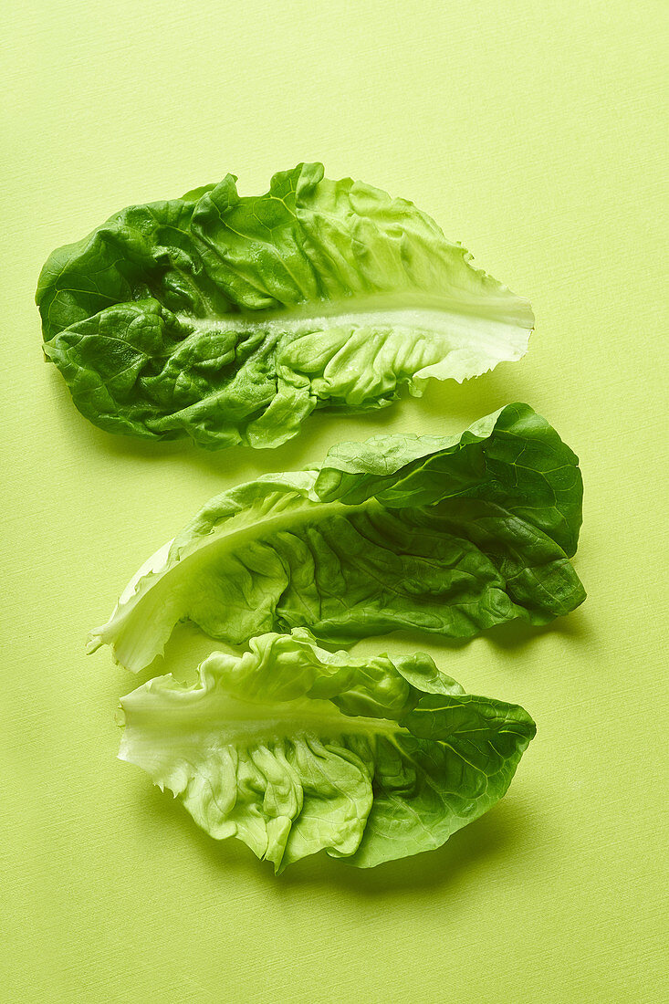 Romaine leaves arranged on green background