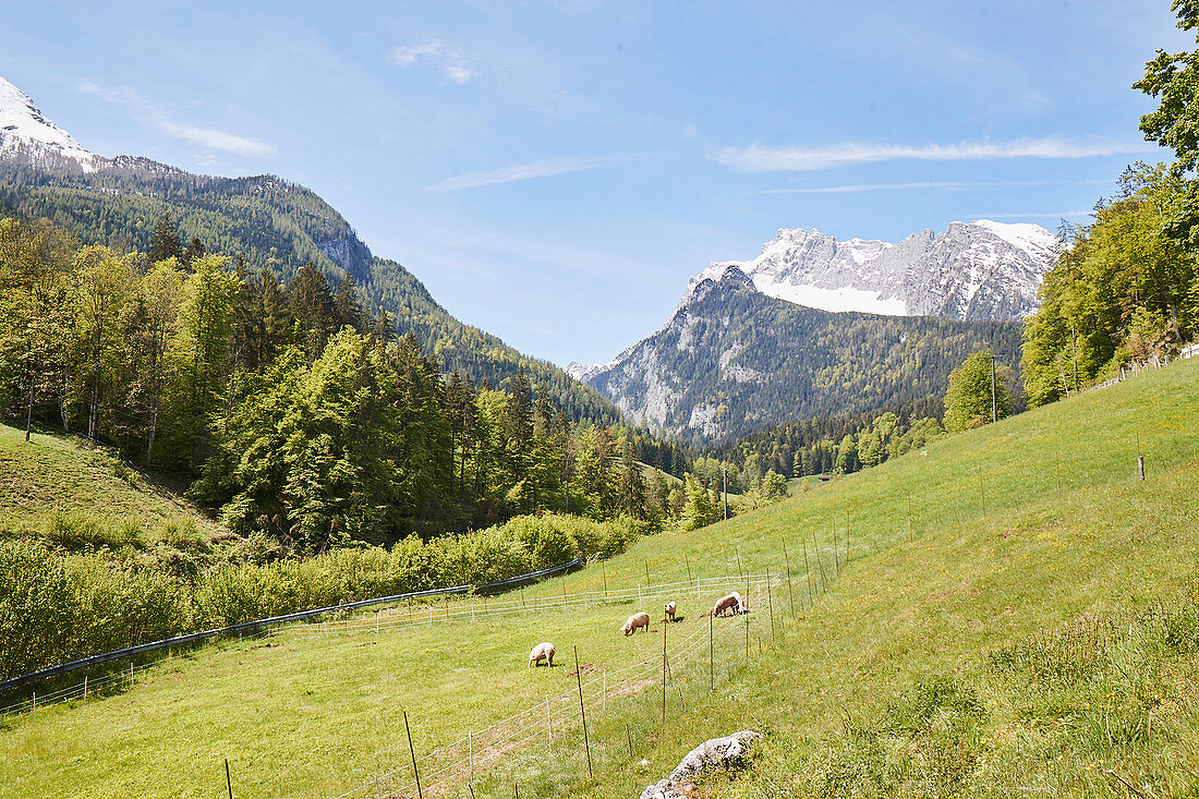 Blick auf die Alpen bei Berchtesgaden, Bayern, Deutschland