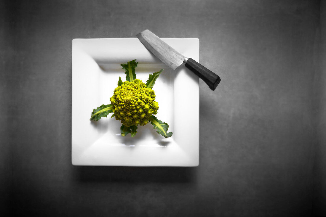 Ein frischer Romanesco mit Messer auf Porzellanteller