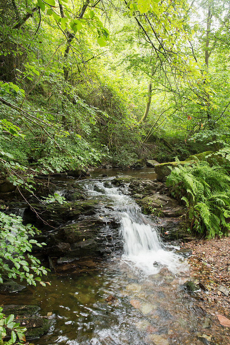 Wasserfall am Wanderweg Dollbergschleife, Saarland, Deutschland