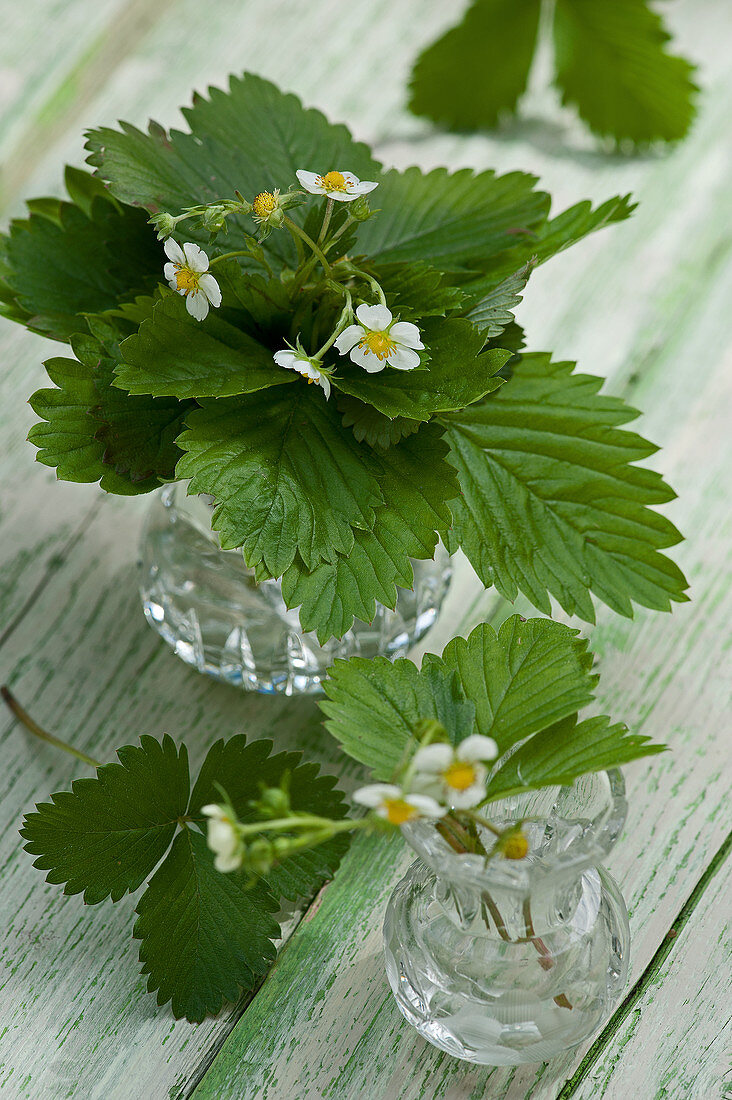 Posies of wild strawberry flowers in crystal vases