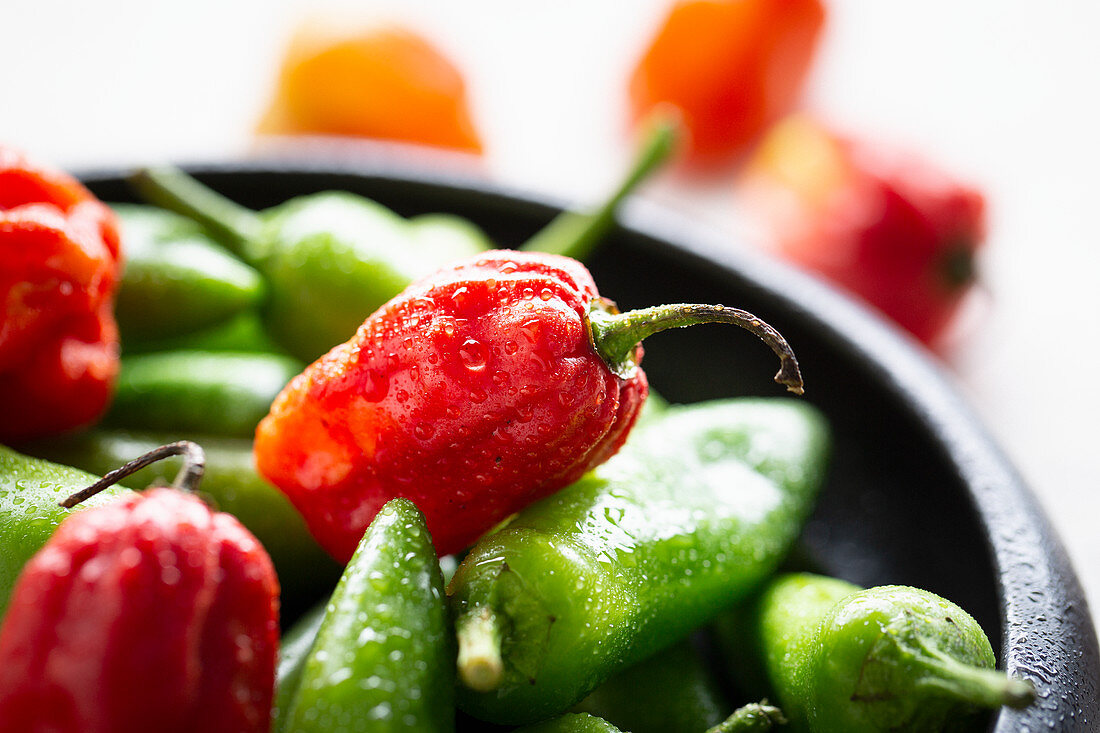 Various red and green chilli peppers in a bowl (close-up)