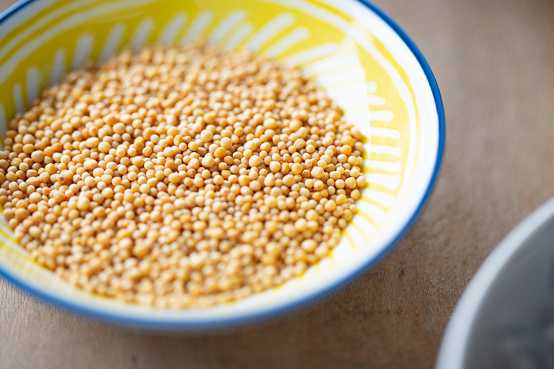 Yellow Mustard Seeds