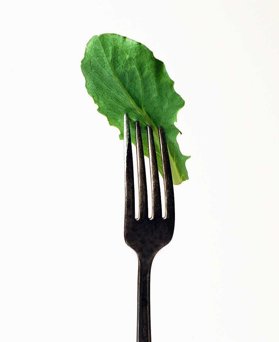 Ein Salatblatt aufgespießt auf einer Gabel