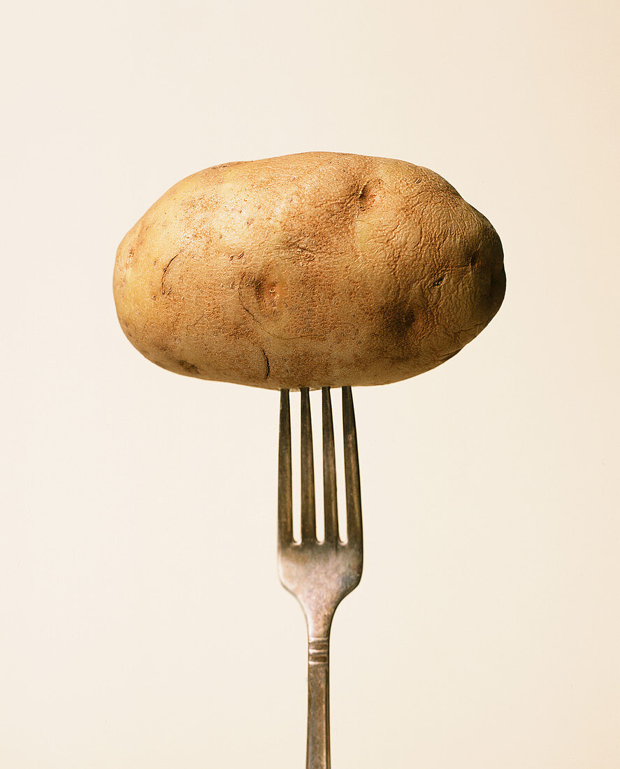 Potato on a fork