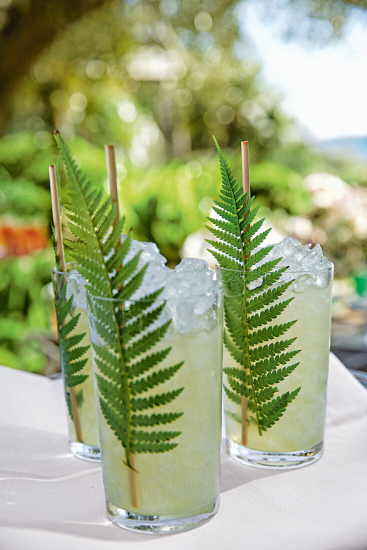 Cocktails mit Gin, Eiswürfeln und Farnblatt