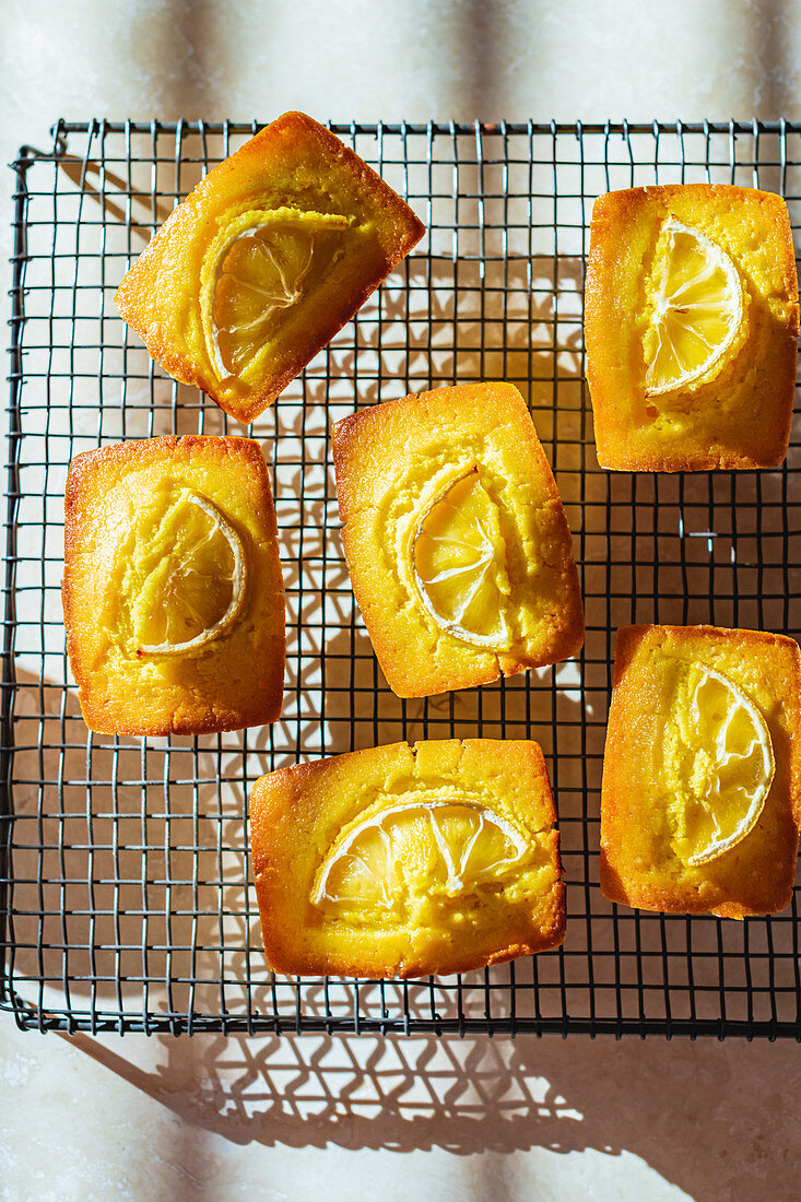 Lemon Turmeric Cakes