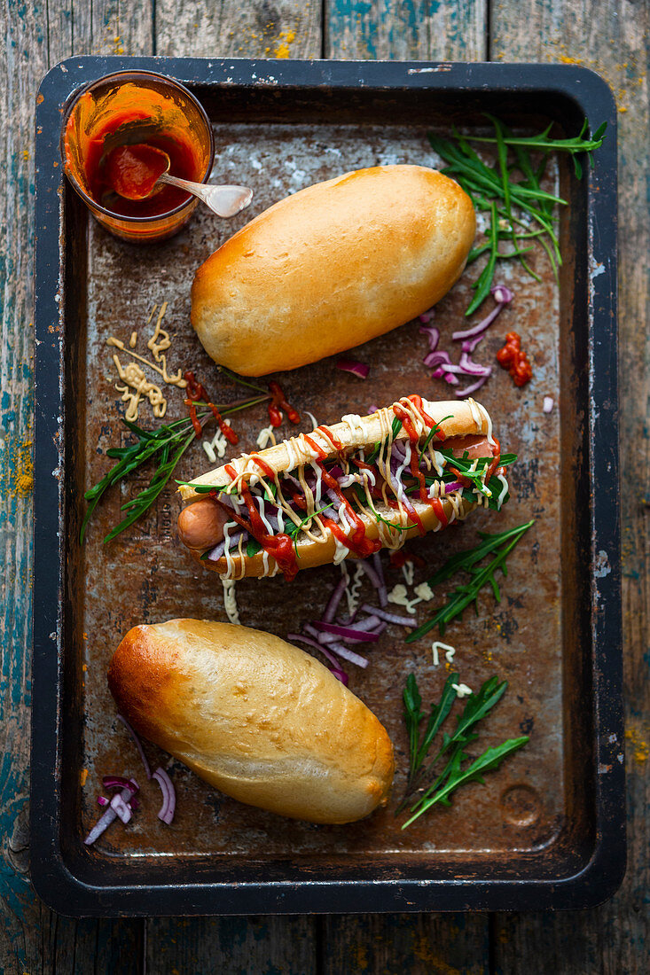 Hot Dogs mit selbstgemachten Brötchen