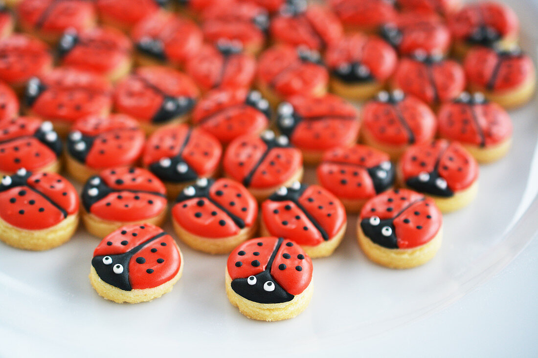 Lots of little ladybird motif cookies