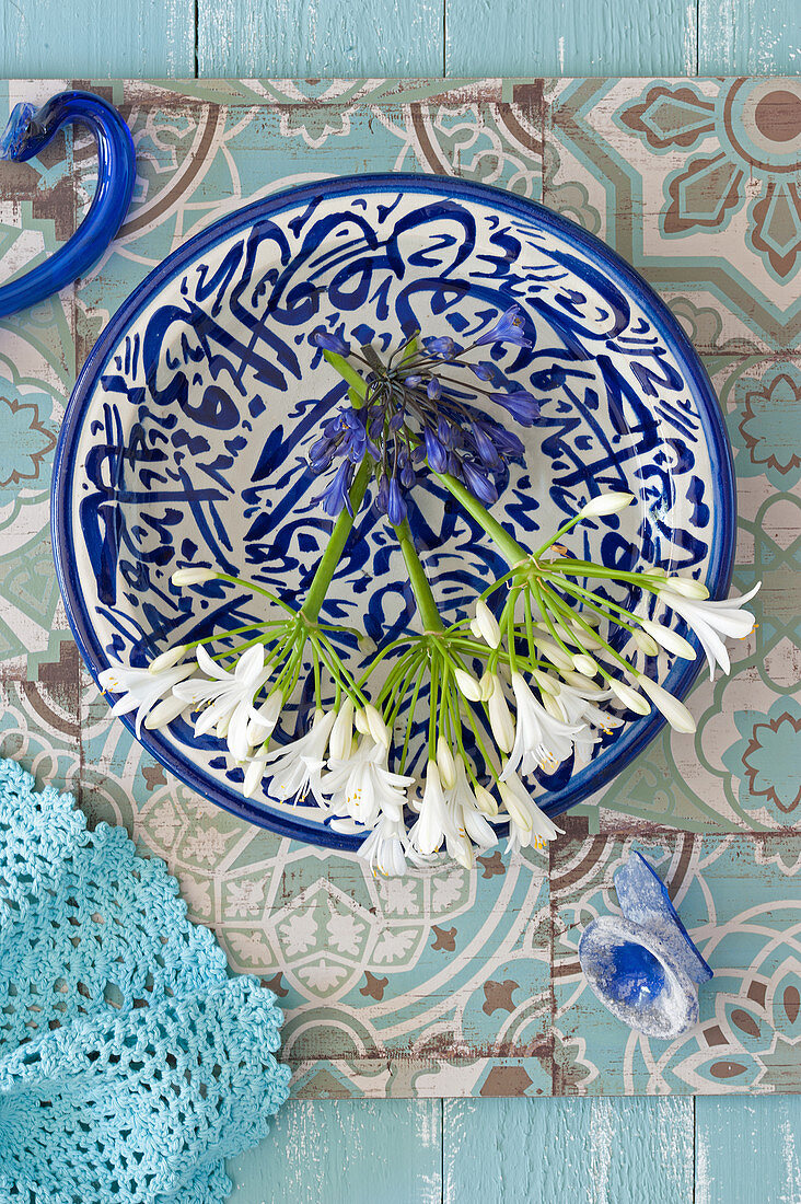Blue and white agapanthus on blue-and-white dish