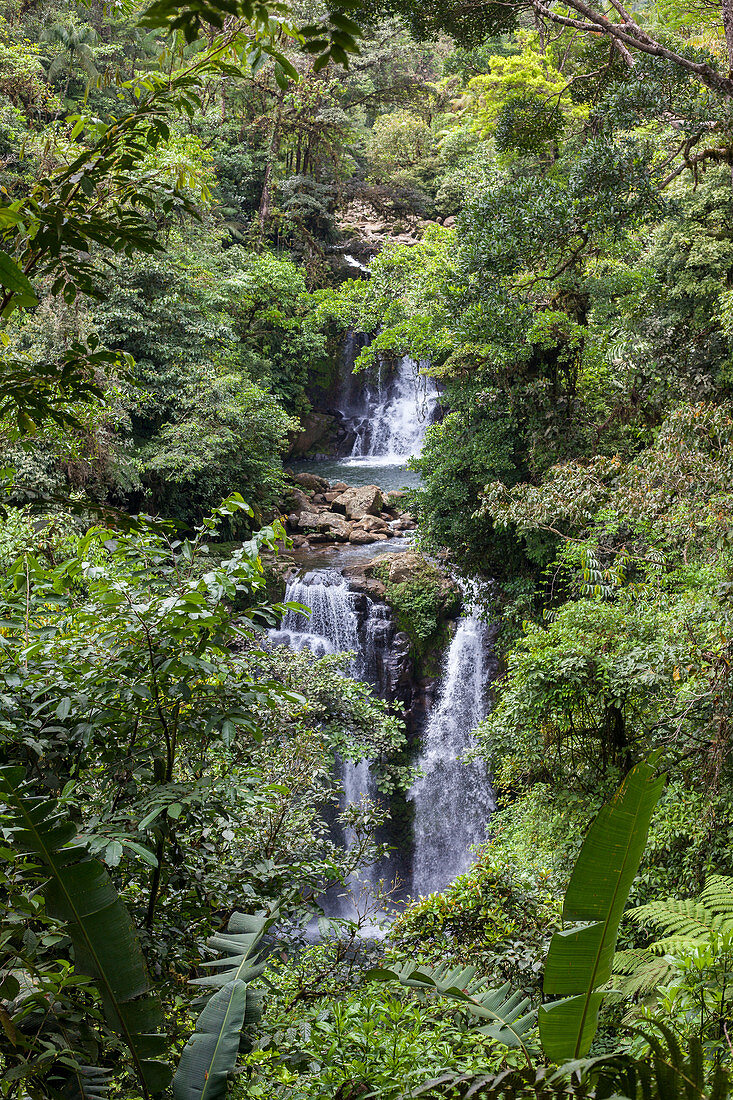 The waterfall near Rara Avis Lodge in the rainforest, Costa Rice, Central America