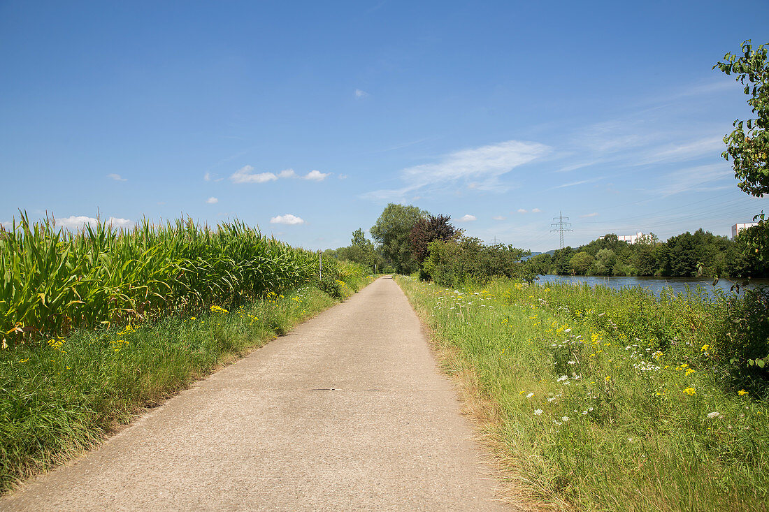 A cycle path along the Saar, Saarland, Germany