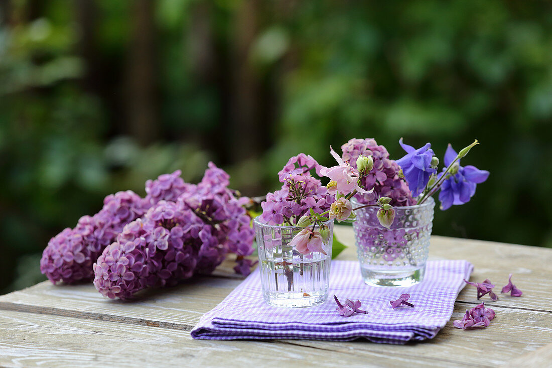 Lilac and aquilegia flowers