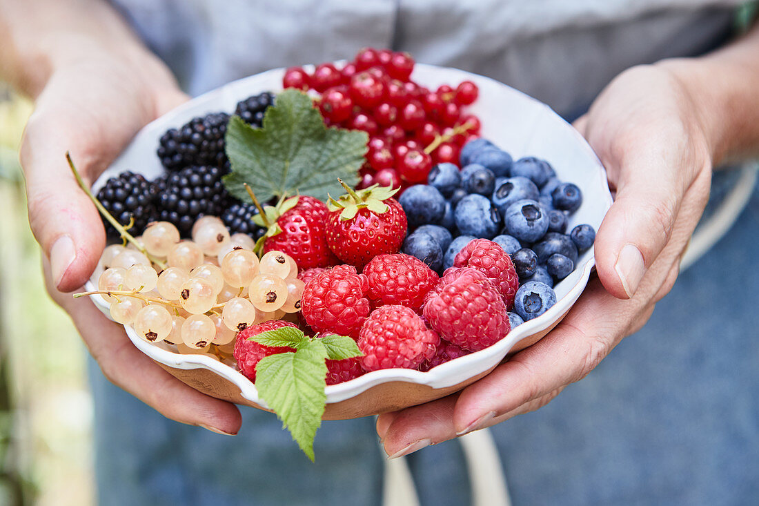 Hands holding a bowl of various fresh berries