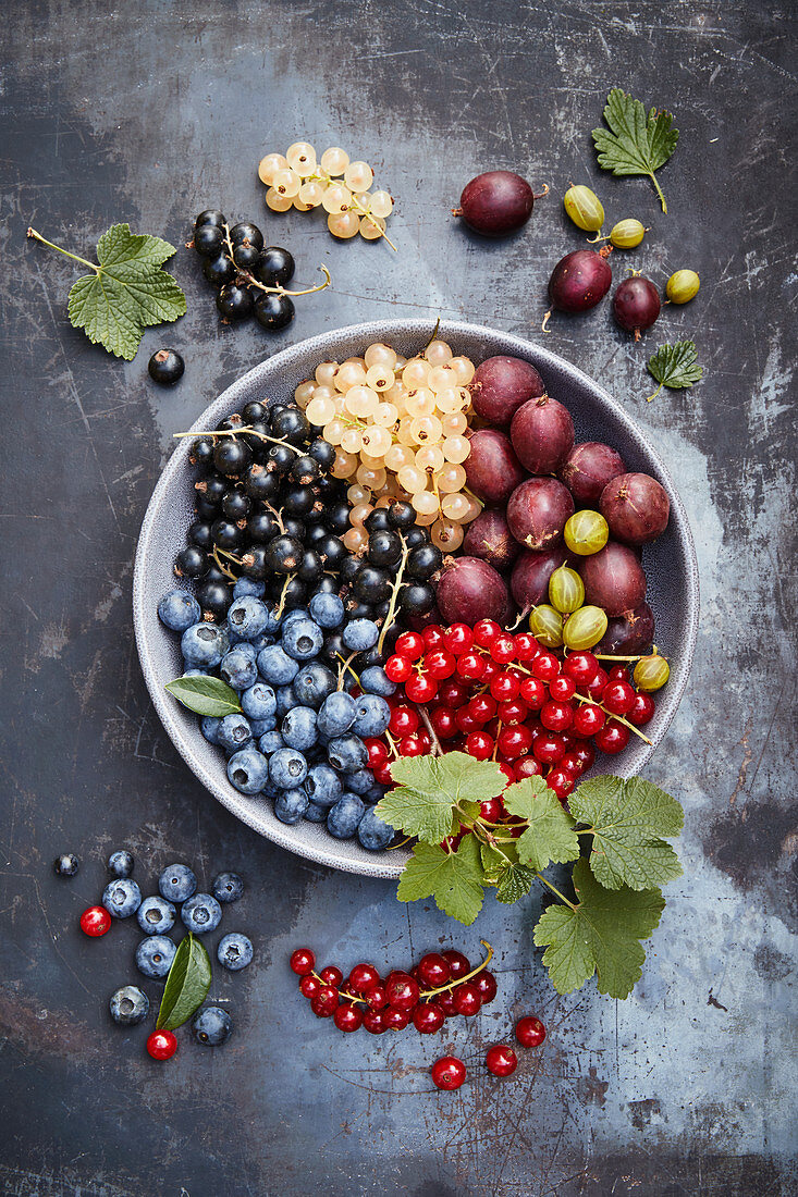 Bowl of various fresh berries on a gray background