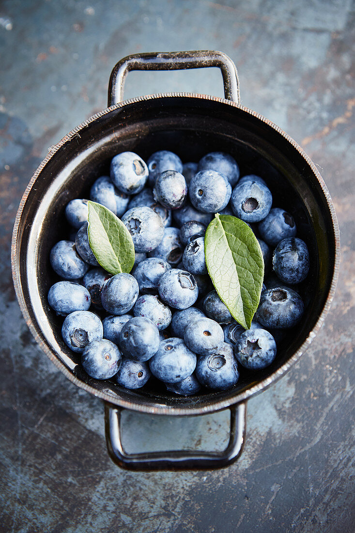 Freshly picked blueberries in a pot