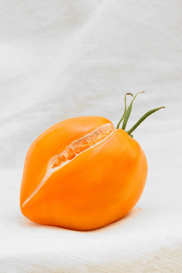 Orange tomato on a white background