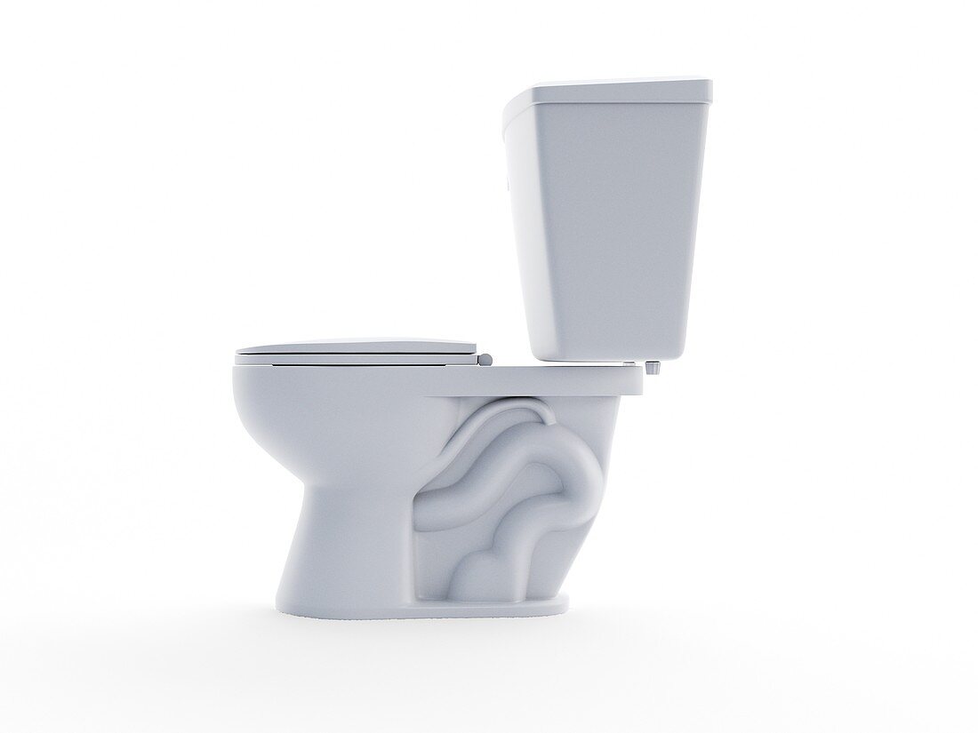 Toilet, illustration