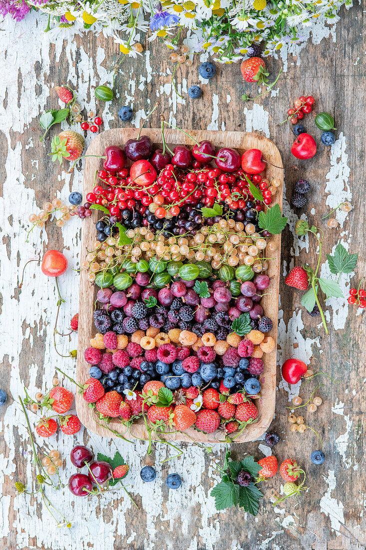Mixed summer berries
