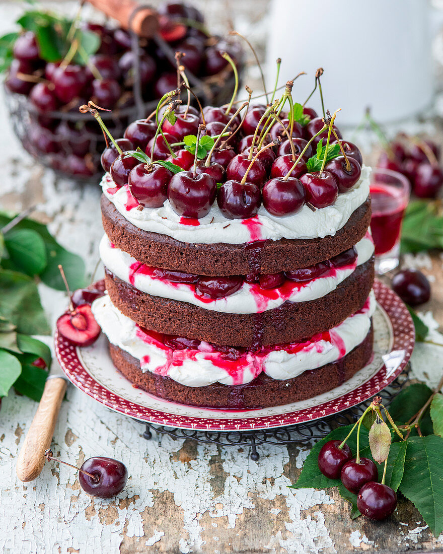 Kirsch-Schokoladen-Kuchen mit Mascarponecreme