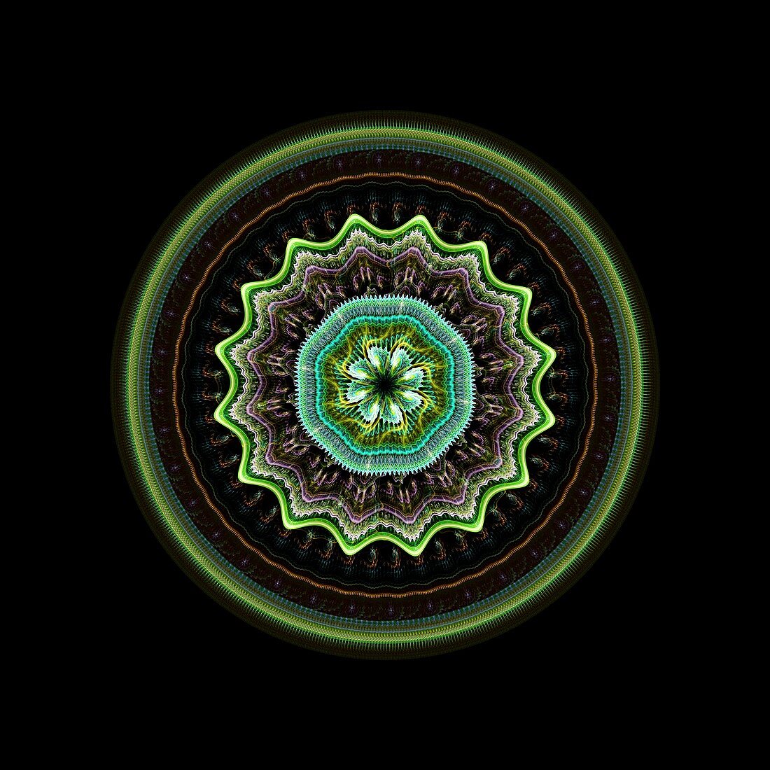 Mandala fractal illustration