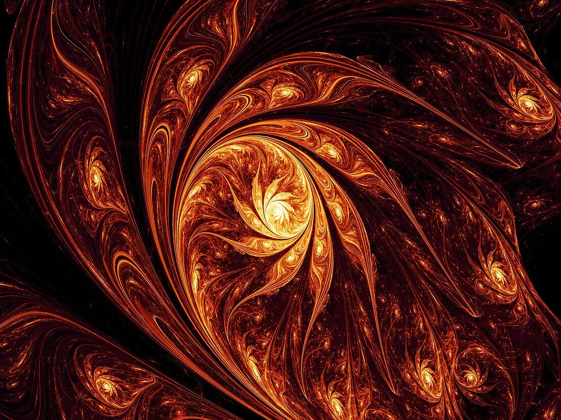 Flower nebula, fractal illustration