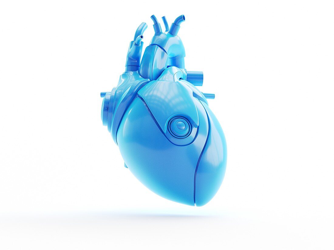 Heart, illustration
