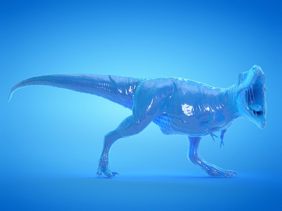 T-rex, illustration