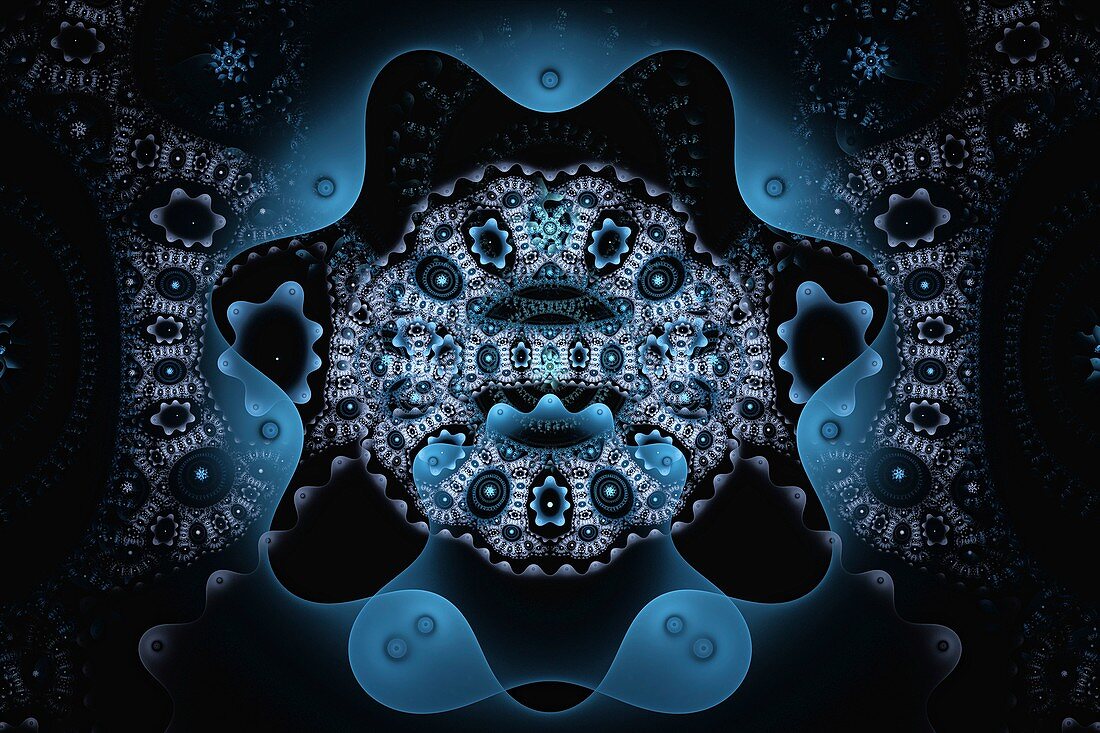 Galactic seal, fractal illustration