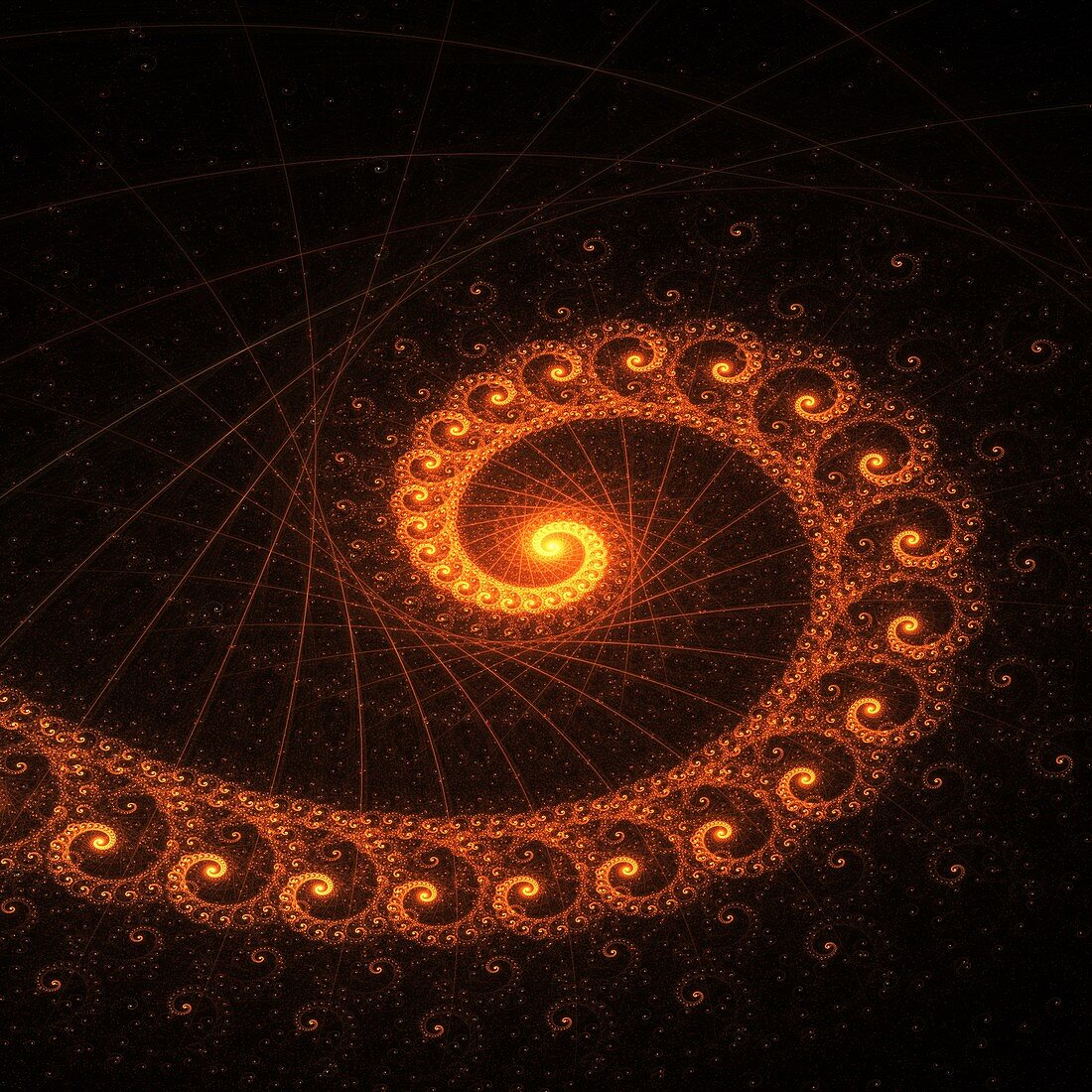 Golden ratio, fractal illustration