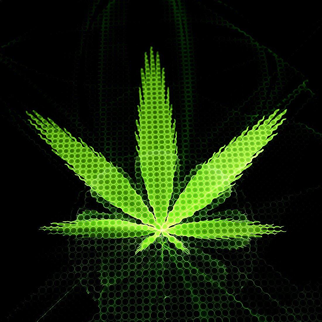 Cannabis leaf, fractal illustration