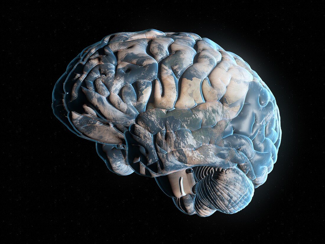 Brain planet, conceptual illustration