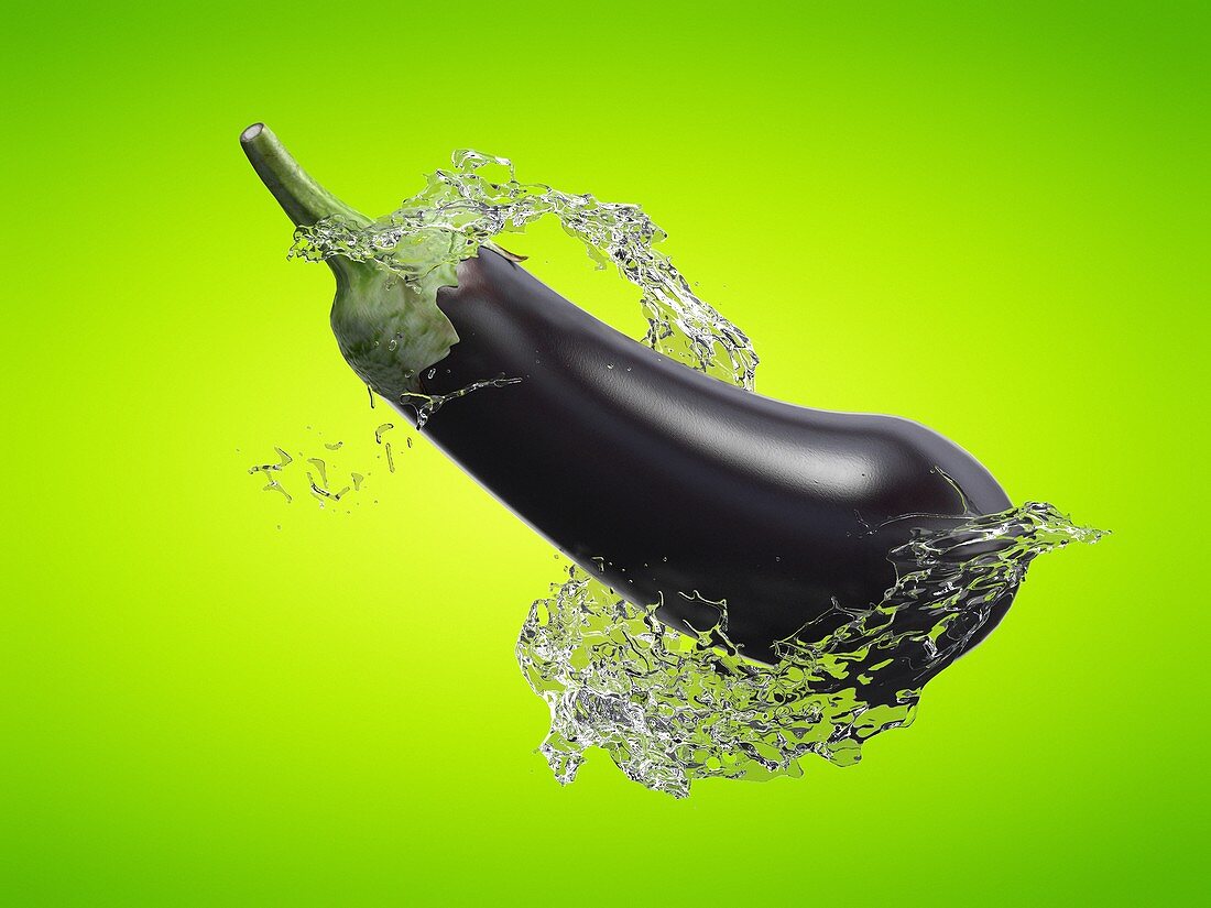 Eggplant and water splash, illustration