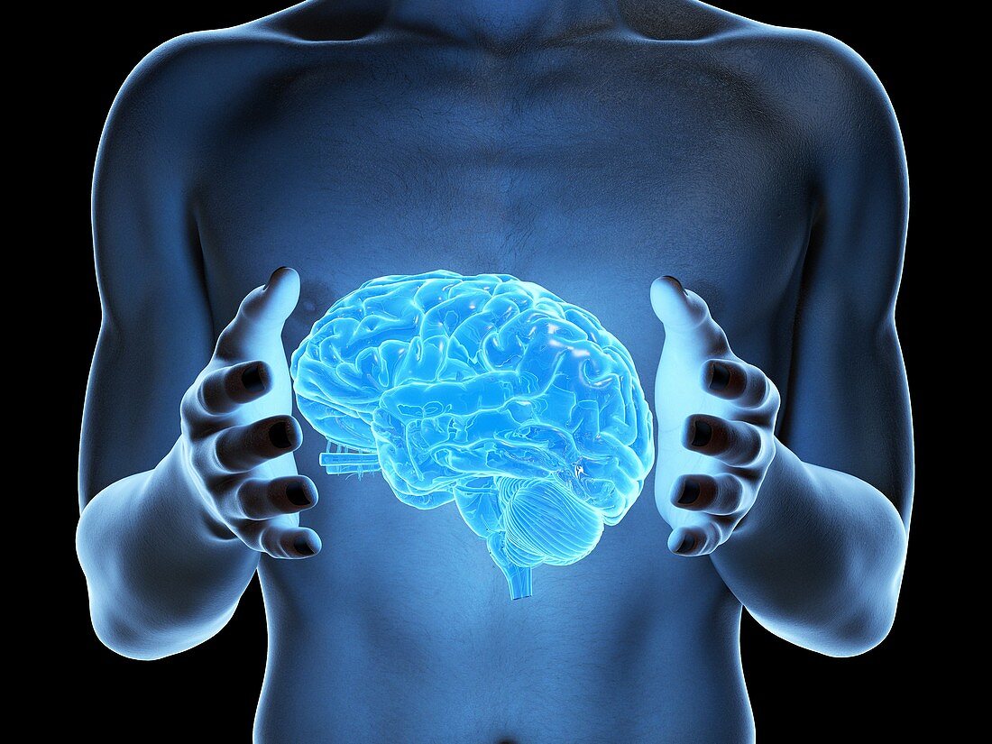 Man holding a brain, illustration
