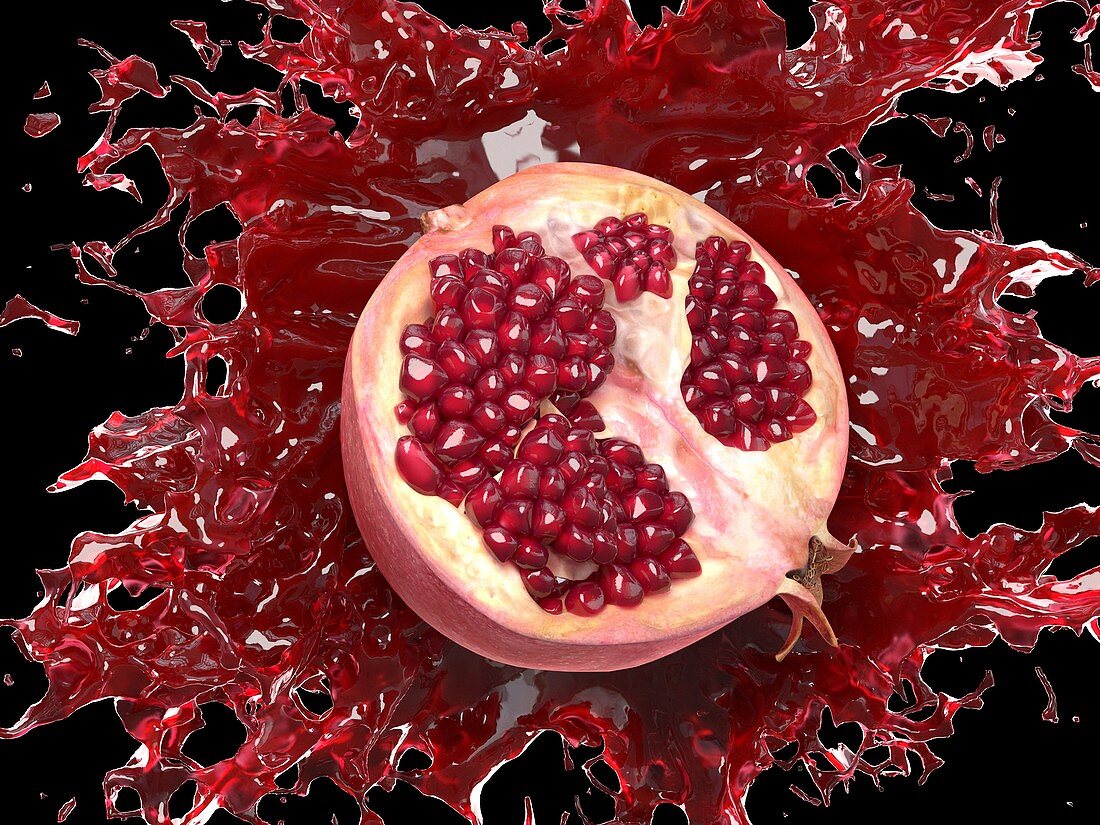 Pomegranate splash, illustration