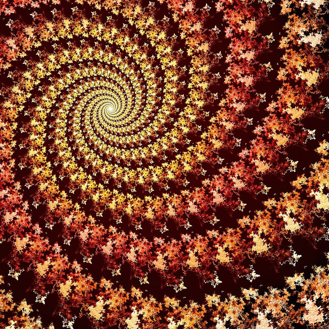Spiral fractal illustration