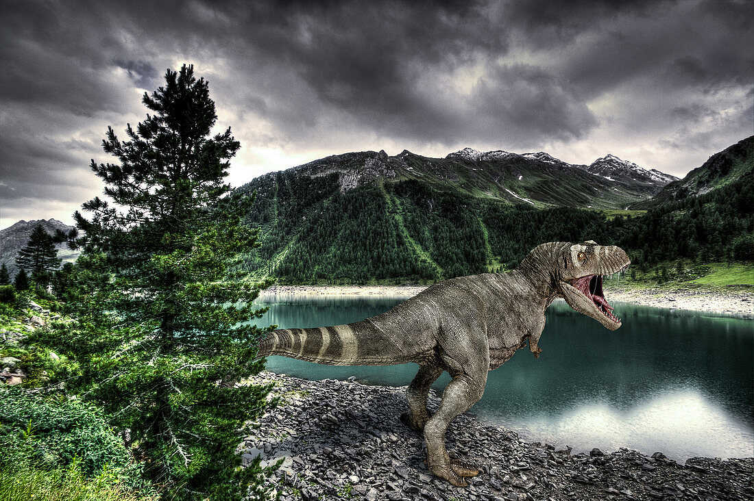 T-Rex dinosaur on a lake shore, illustration