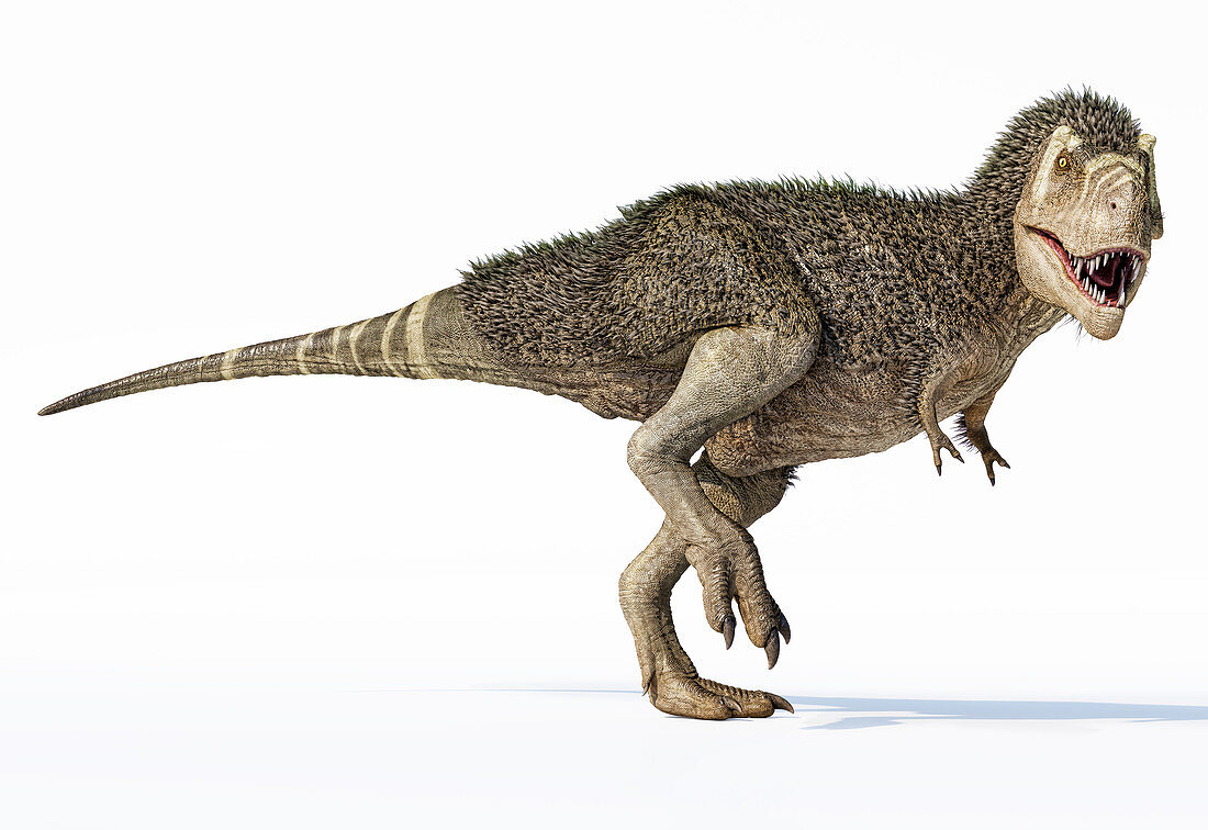 T-rex dinosaur with feathers 3d rendering