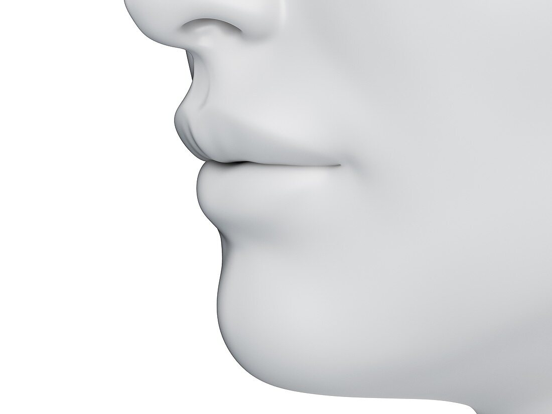Female mouth, illustration