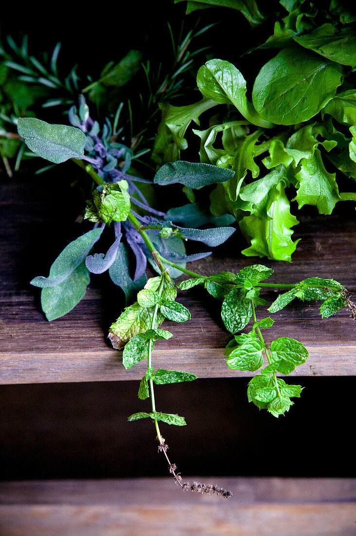 Frische Kräuter und Salatpflanzen auf Holzregal