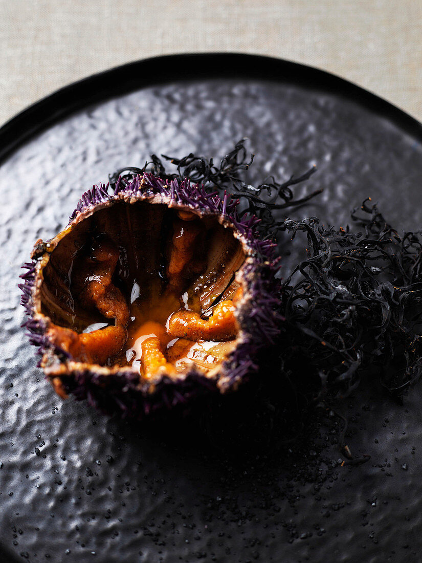 Sea urchins on a black tray